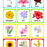 free-download-preschool-kindergarten-worksheets-flashcards-Printables