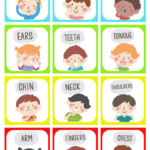 free-download-preschool-kindergarten-worksheets-flashcards-Printables