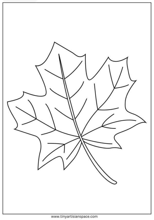 Printable ColoringPage | SprayColoring